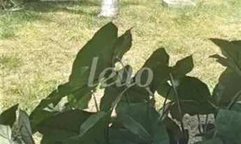 Imagem 5: São Paulo - Terreno Padrão - Mooca