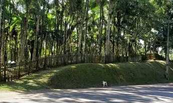 Imagem 2: Terreno à venda no bairro Barigui - Antonina/PR