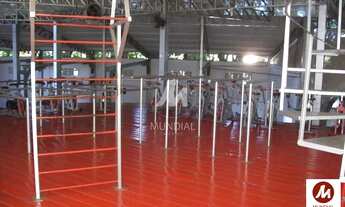 Imagem 6: Salão/Galpão (salão - sobrado