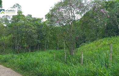 Imagem 7: Terreno à venda no bairro Rio Sagrado - Morretes/PR