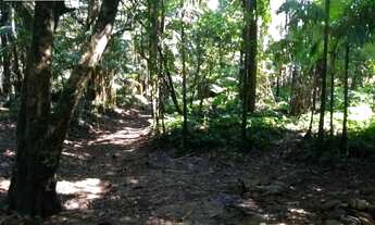 Imagem 5: Chácara-à-Venda-em-São-João-da-Graciosa-Morretes-PR