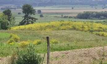 Imagem 3: Terreno Tijucas do Sul (Bairro Tabatinga