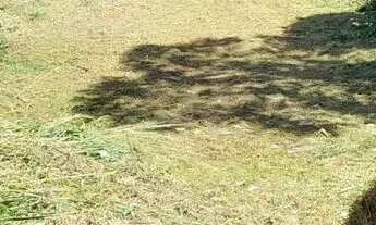 Imagem 6: Excelente Oportunidade para Construir: TERRENO CENTRO ESTEIO/RS