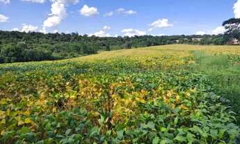 Imagem: Terreno 3 alqueires - beira de estrada