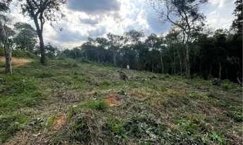 Imagem 2: Vendo lote na Peinha