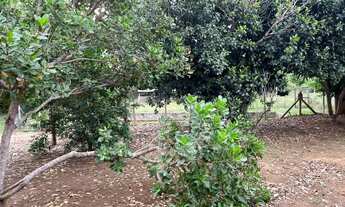 Imagem 4: Fazenda para Venda em Santa Cruz de Goiás, Zona Rural, 4 dormitórios, 4 suítes, 4 banheiro