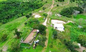 Imagem 5: Fazenda à Venda 56 Alqueires