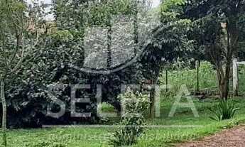 Imagem 6: Sítio em Santa Tereza do Oestes 15 alq Plantio de Soja Produção de 8.000 mil Lt Leite mês