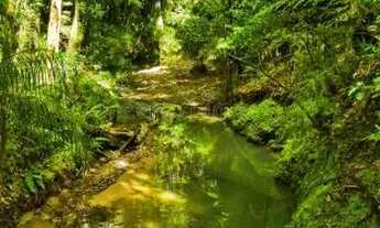 Imagem 2: Chácara Universitário 20.000m²