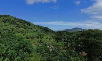Imagem 2: Terreno à venda no Sertão de Camburi ? 3.000m² com escritura