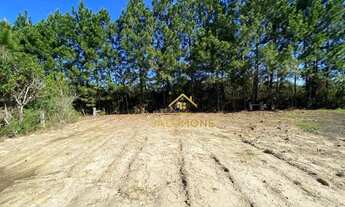 Imagem 5: Salomone vende 2,3 Hectares na Rs040