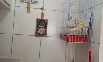 Imagem 4: Acolhedor e bem localizado Alugo apt 1 quarto