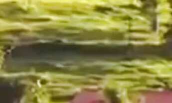 Imagem 2: FAZENDA - Alexânia/GO VENDA TOTAL OU FRACIONADA *ÁREA PARA COMÉRCIO NA BEIRA DA PISTA