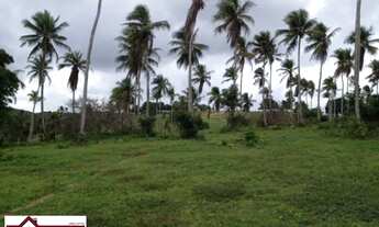 Imagem: GRANDE OPORTUNIDADE FAZENDA 404 TAREFAS