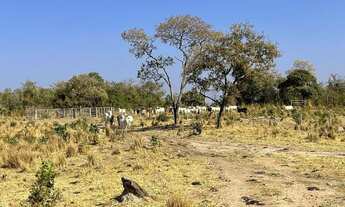 Imagem 2: Fazenda 20 alqueires