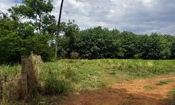 Imagem 2: 8 alqueires em Jales SOMENTE 4 KM DA CIDADE!