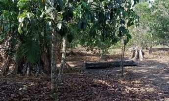 Imagem 3: Lotes Km 26 Am 070