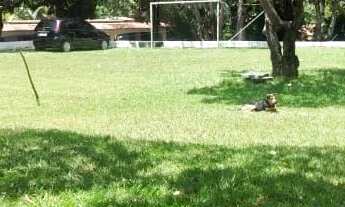 Imagem 6: Vendo lindo sítio em retiro do congo