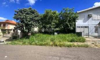 Imagem: EXCELENTE TERRENO NO IDEAL