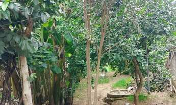 Imagem 6: Ágio/ casa Casa com 3 dormitórios