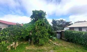 Imagem 2: CAXIAS DO SUL - Terreno Padrão - DESVIO RIZZO