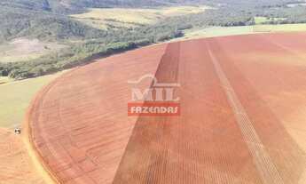 Imagem 2: Fazenda 102 Alqueires (494 Hectares) São João dAliança - GO