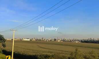 Imagem 3: Terreno Comercial para Venda em Cascavel, Vista Linda