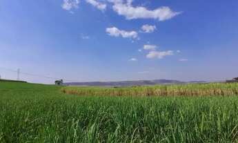 Imagem: Terreno para venda com 96800m² em Cravinhos