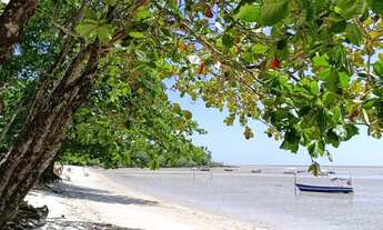 Imagem: Terreno belíssimo a 6 minutos do mar de