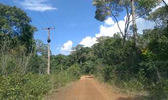 Imagem 2: Terreno / Áreas 204 Hectares em Novo Airão Amazonas