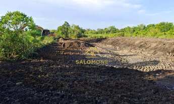 Imagem 2: Salomone vende sítio de 9 hectares a apenas 3 km do asfalto