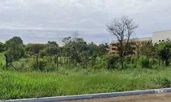 Imagem 2: Terreno Comercial no Centro de Palmas/TO