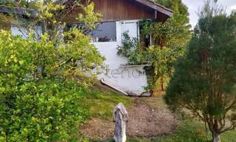 Imagem 15: Sítio à venda com 24.200m² em Jaguariúna