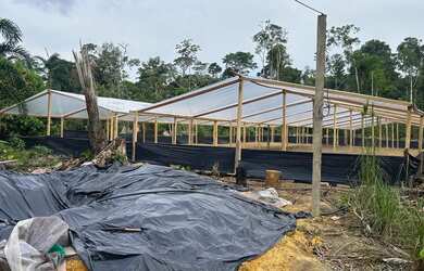 Imagem 5: Terreno com 2 barracão dentro