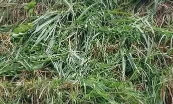 Imagem: Apartamento para venda com 140 metros quadrados