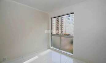 Imagem 2: Pinheiros! Reformado!