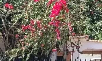 Imagem: Casa para venda com 142 metros quadrados