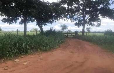 Imagem: SITIO 60 HECTARES 13 KM DE PORTO ESPERIDIÃO-MT