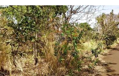 Imagem 3: DUAS CHACARAS JUNTAS NA AVENIDA PRINCIPAL DO SAO BASILIO