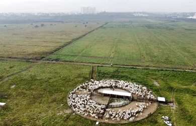 Imagem 3: Fazenda para venda possui 3950000 metros quadrados