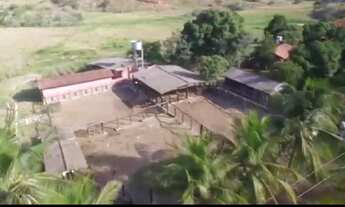 Imagem 5: Oportunidade 13 Alqueires