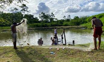 Imagem 6: Fazenda a 25 km de Feijo