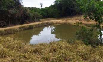 Imagem 4: Chácara 12 Alqueires em Pirenópolis Goiás