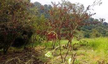 Imagem 6: Terreno à venda, 1450 m² por R$ 80.000,00 - Buquirinha - São José dos Campos/SP