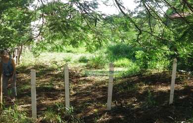 Imagem 3: Terreno à venda, 500 m² por R$ 85.000,00 - Goiabal - Pindamonhangaba/SP