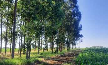 Imagem 5: Chácara Chácara com venda por R$400