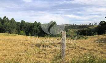 Imagem 3: Terreno - Joaquim Egídio - Campinas