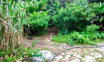 Imagem 2: Área especial na região