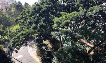 Imagem 4: Oportunidade - Parque Morumbi - 227 m²