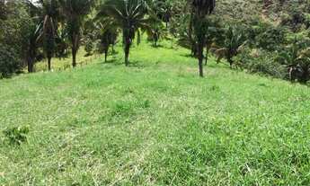 Imagem 2: ÓTIMA FAZENDA NO MUNICÍPIO DE PADRE BERNARDO